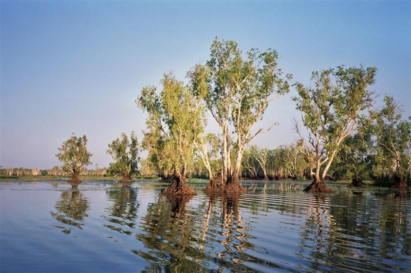 P.N.Kakadu - Yellow Waters billabong