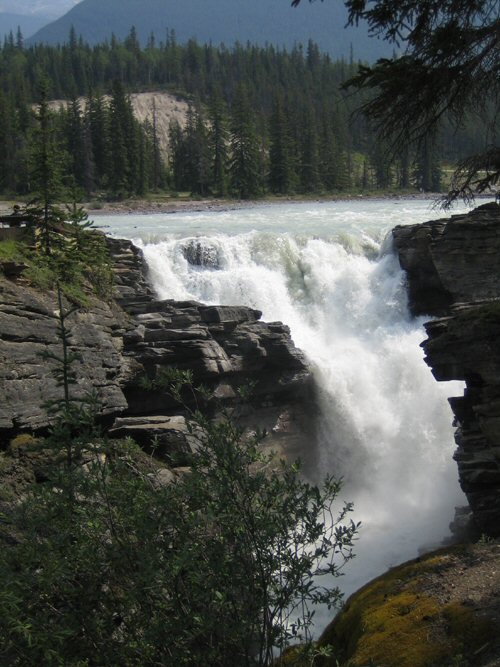 Jasper - Athabasca Falls