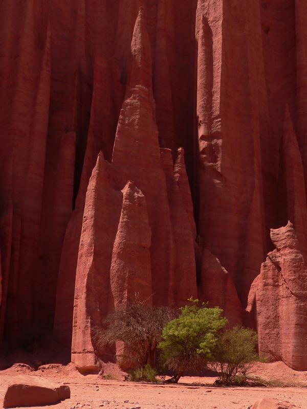Talampaya - Catedral