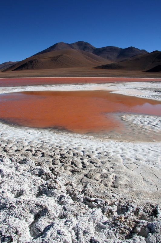 Laguna colorada (Red Lagoon)