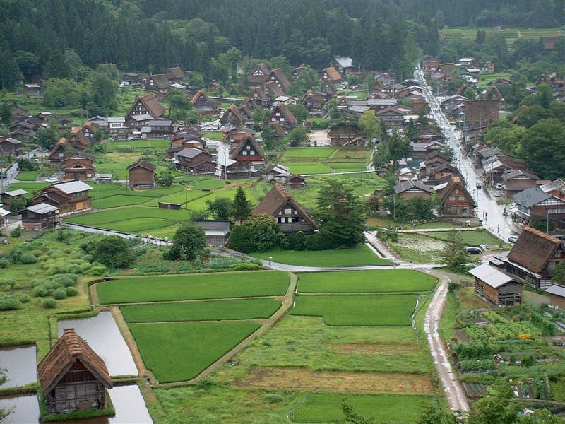 Shirakawago - "Gasshozukuri" farms