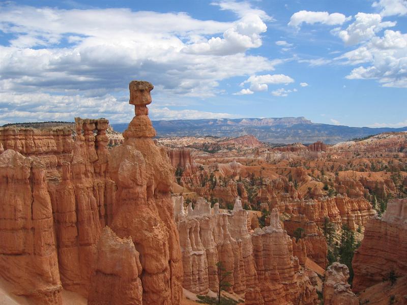 Hoodoos en el Bryce Canyon