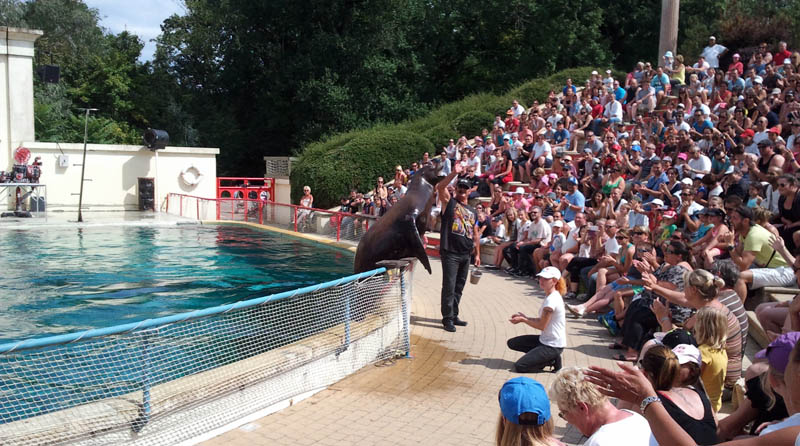 Parc Walibi - Le Show des otaries