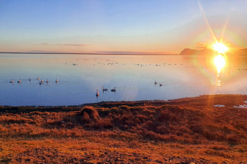 Puesta de sol en Hvalnes