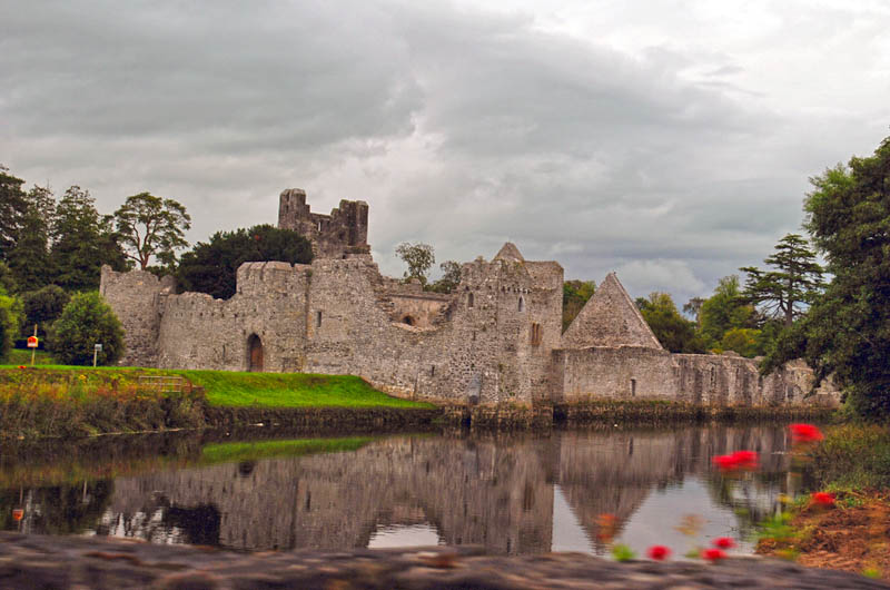 Adare - Desmond Castle