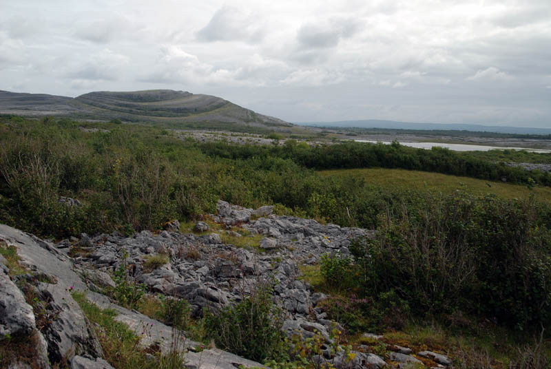 Burren