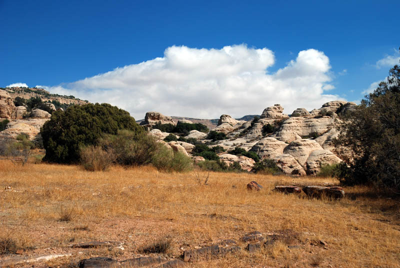 Reserva de la biosfera de Dana - Camp Site Trail