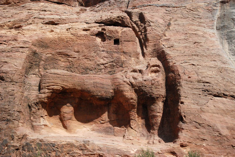 Petra - Lion Relief